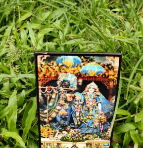রাধা মাধব