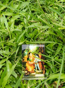 দামোদর