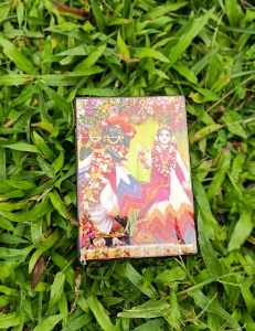 রাধা মাধব