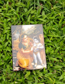 দারমোদ
