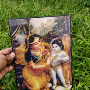 দামোদর গোপাল