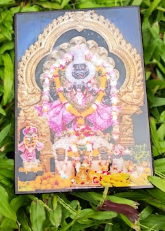 নৃসিংহ দেব।