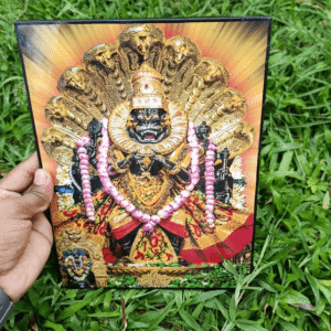 নৃসিংহ দেব